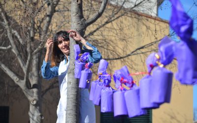 EL CENTRE OCUPACIONAL DE XÀTIVA CELEBRA EL DIA DE FALLES